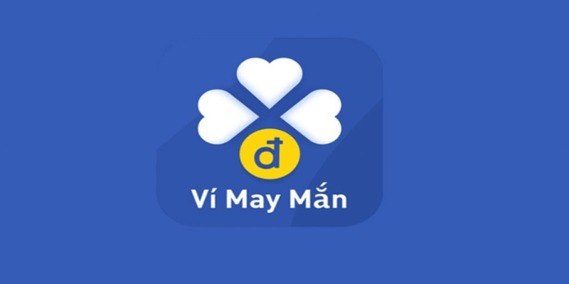 vay-online-vi-may-man