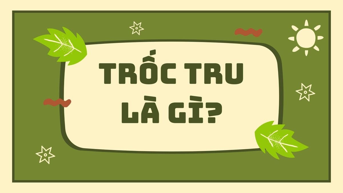 troc-tru-la-gi