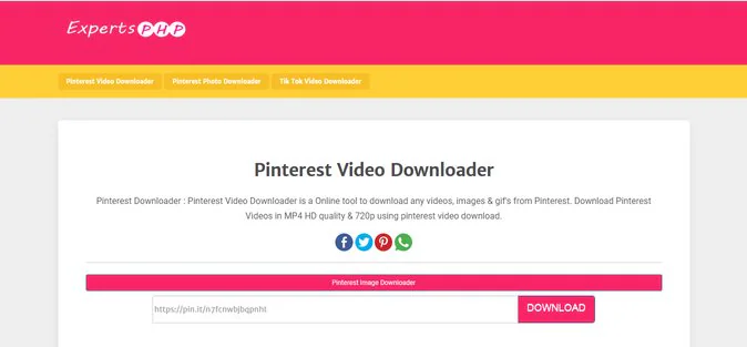 ExpertsPHP Pinterest Video Downloader